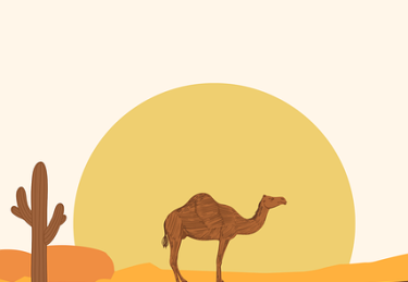 P站增长引擎全解析——146步搞定