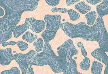 蘑菇影视官网——便携兼容性实测升级秘籍（专业评测）