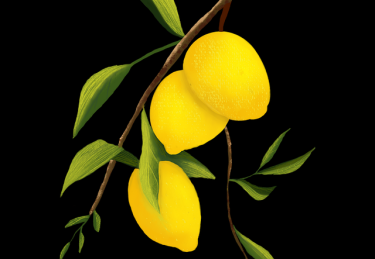 为什么吃瓜51冲榜？热度逻辑告诉你答案——必读