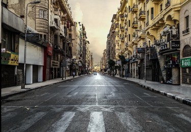 蘑菇视频——离线上手攻略解析秘籍