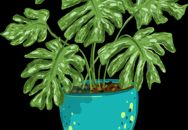 蘑菇影视在线观看——4K热门排行揭秘秘籍