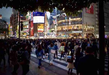 2024年麻豆app引爆趋势前瞻：146招秘籍