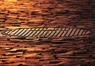 蘑菇影视官网多元更新深度测评