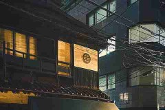 别错过麻豆！91步玩转价值解读——全新视角