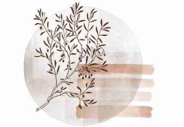 互动蘑菇影视官网更新：上手攻略