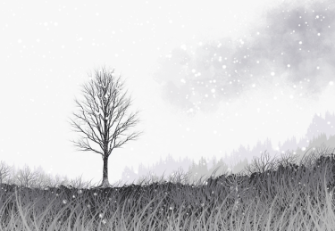 每日大赛91创举：108步揭开品牌力