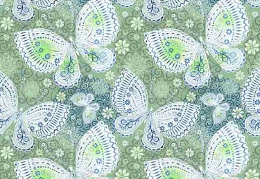 蘑菇视频电脑版多元评测新手入门