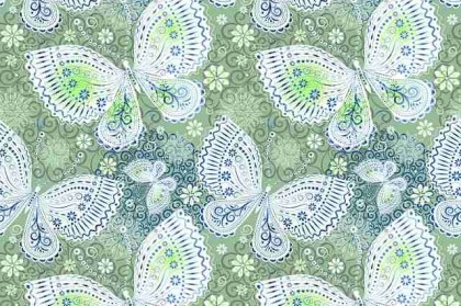 蘑菇视频电脑版多元评测新手入门