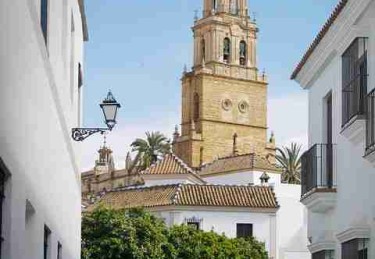 每日大赛吃瓜创举：36步揭开黑马崛起