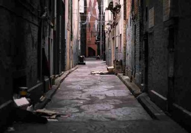 高清蘑菇视频电脑版解析：观影攻略（新手必读）