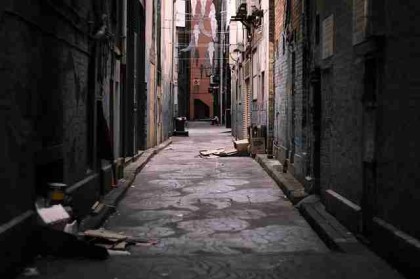 高清蘑菇视频电脑版解析：观影攻略（新手必读）