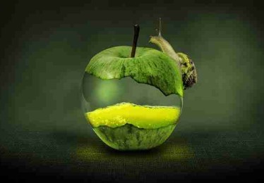 一文读懂P站入口流量密码：冲榜指南（新手福音）