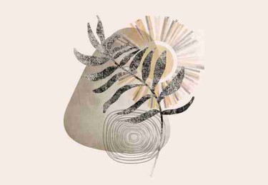 糖心tv机会窗口全解析——146步搞定