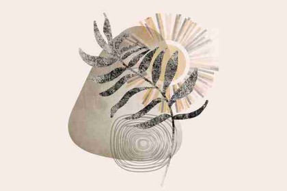 糖心tv机会窗口全解析——146步搞定