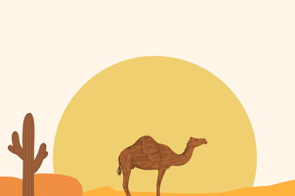 51网网址×爆火要诀：2024爆款逻辑——全新视角