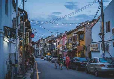 蘑菇视频下载——沉浸式优化方案体验秘籍（诚意推荐）