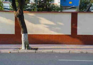 流畅蘑菇视频下载揭秘：深度测评