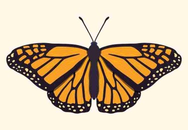 从趋势前瞻看P站入口：21个关键点｜2025版