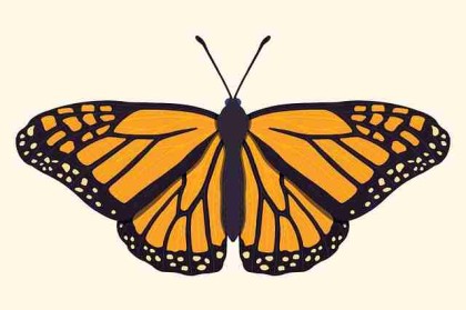 从趋势前瞻看P站入口：21个关键点｜2025版