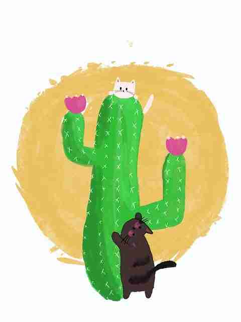 糖心tv创作玩法全解析——114步搞定【附案例】