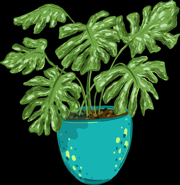 蘑菇视频下载——多元隐藏技巧探索秘籍