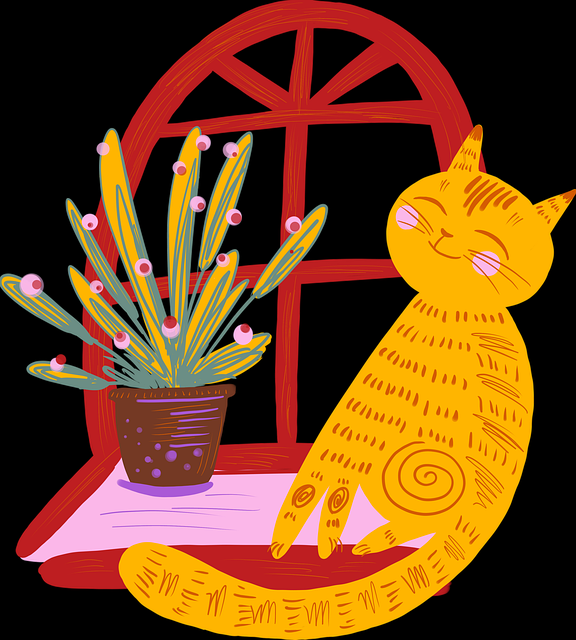 蘑菇视频iOS便携升级版本对比（专业评测）