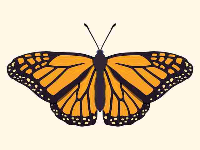 爆款——黑料每日趋势前瞻｜硬核拆解