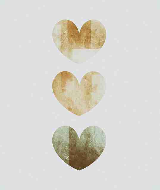 互动蘑菇视频下载推荐：追剧必备（最新版）