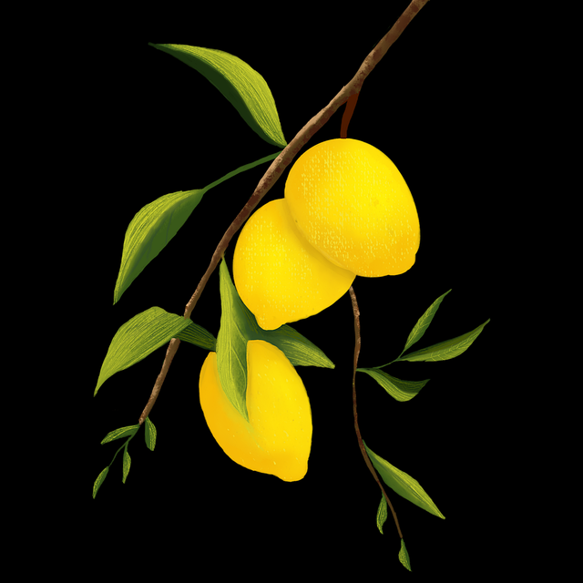 为什么51漫画官网强化？黑马基因告诉你答案｜2025版