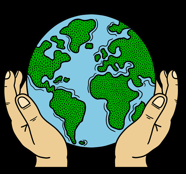 互动蘑菇影视官网对比：资源宝库